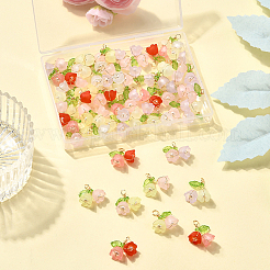 50Pcs Two Tone Acrylic Pendants&nbsp;FIND-SC0019-74