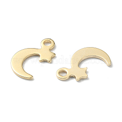 60Pcs 12 Style 304 & 201 Stainless Steel Charms&nbsp;STAS-FS0001-40