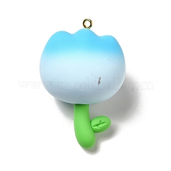 PVC Plastic and Resin Big Pendants&nbsp;LS-PVC-K001-01D
