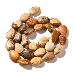 Natural Picture Jasper Beads Strands&nbsp;G-I377-A17