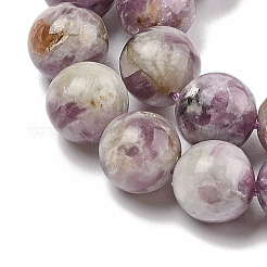 Natural Lepidolite/Purple Mica Stone Beads Strands&nbsp;G-G160-A01-02