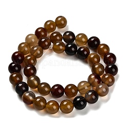 Dyed Natural Agate Beads Strands&nbsp;G-G203-10D-10mm