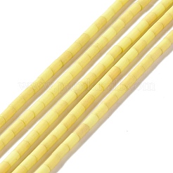 Synthetic Turquoise Beads Strands&nbsp;G-K327-03