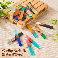 20Pcs 10 Styles Resin & Walnut Wood Big Pendants&nbsp;BT-TAC0013-01
