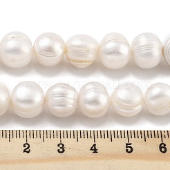 Natural Cultured Freshwater Pearl Beads Strands&nbsp;PEAR-C003-21B