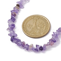 Natural Amethyst Chip Beaded Necklace&nbsp;NJEW-JN04616-06
