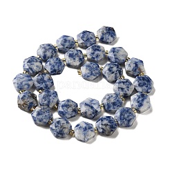 Natural Blue Spot Jasper Beads Strands&nbsp;G-H344-B02-01