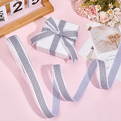 Polyester Ribbon&nbsp;OCOR-WH0101-164B