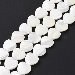 Natural Trochus Shell Beads Strands&nbsp;SSHEL-H070-06D