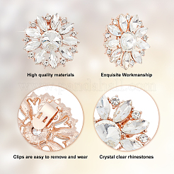AHADEMAKER 2Pcs Detachable Flower Shoe Decoration&nbsp;AJEW-GA0004-25
