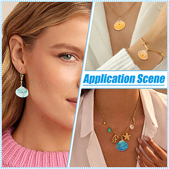 40Pcs Natural Shell Pendants&nbsp;PALLOY-ME00020