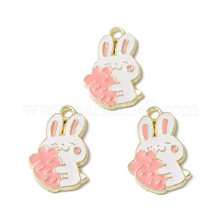 Alloy Enamel Pendants&nbsp;ENAM-G212-01G-04