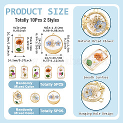 10Pcs 2 Styles Transparent Resin Pendants&nbsp;RESI-TA0005-61