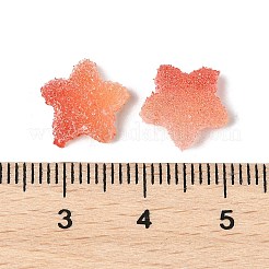 Imitation Candy Food Style Resin Cabochons&nbsp;RESI-R461-02B