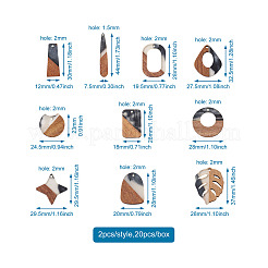 20Pcs 10 Style Resin & Walnut Wood Pendants&nbsp;RESI-KS0001-06
