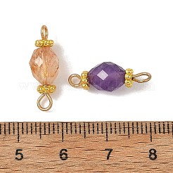 304 Stainless Steel & Natural Gemstone Connector Charms&nbsp;PALLOY-JF05970