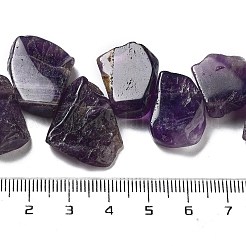 Natural Amethyst Beads Strands&nbsp;G-P528-K09-01