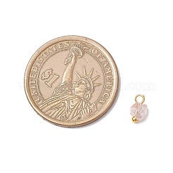 Electroplate Glass Charms&nbsp;PALLOY-JF04004