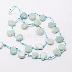 Natural Flower Amazonite Beads Strands&nbsp;G-P137-37