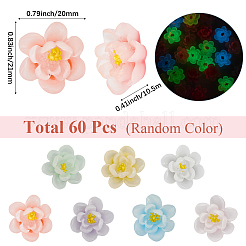 60Pcs Luminous Transparent Epoxy Resin Decoden Cabochons&nbsp;CRES-SC0003-04
