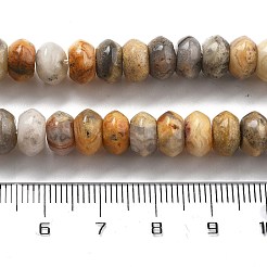Natural Crazy Agate Beads Strands&nbsp;G-P559-A05-01