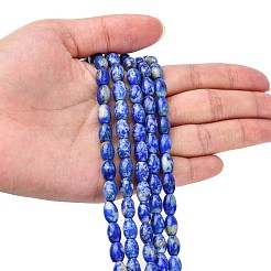 Natural Lapis Lazuli Beads Strands&nbsp;G-K311-10B-03