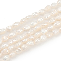 Natural Cultured Freshwater Pearl Beads Strands&nbsp;PEAR-P064-20F-02A