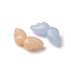 Luminous Transparent Acrylic Beads&nbsp;LACR-S001-08