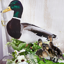 Double-sided Pattern Acrylic Garden Stake&nbsp;AJEW-WH0348-02D