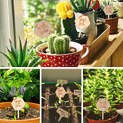 Plant Labels&nbsp;WOOD-GA0001-19