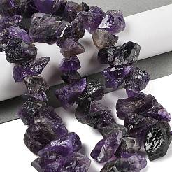 Natural Amethyst Beads Strands&nbsp;G-Q023-G01-01