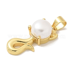 Rack Plating Brass Pendants&nbsp;KK-K293-24N-G