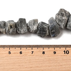 Natural Labradorite Beads Strands&nbsp;G-S386-B04