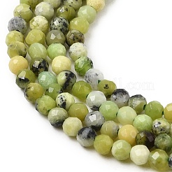 Natural Serpentine Beads Strands&nbsp;G-P603-C-2mm-06