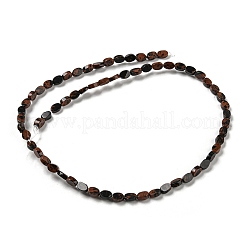 Natural Mahogany Obsidian Beads Strands&nbsp;G-M420-H08-03