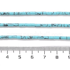 Dyed Synthetic Turquoise Beads Strands&nbsp;G-B124-A01-01