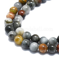Natural Eagle Eye Stone Beads Strands&nbsp;G-K245-A09-02