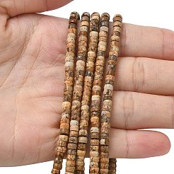 Natural Picture Jasper Heishi Beads Strands&nbsp;G-A299-A05-01