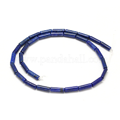 Natural Lapis Lazuli Column Bead Strands&nbsp;X-G-F247-13