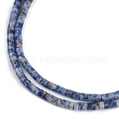 Natural Blue Spot Jasper Beads Strands&nbsp;G-H230-56