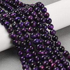 Grade B Natural Purple Tiger Eye Beads Strands&nbsp;X-G-F591-18-8mm