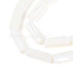 Natural Trochid Shell/Trochus Shell Beads Strands&nbsp;BSHE-T014-06A