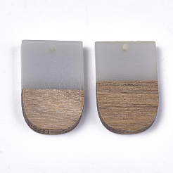 Resin & Walnut Wood Pendants&nbsp;RESI-S358-34A