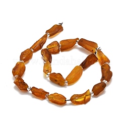 Natural Amber Beads Strands&nbsp;G-E576-62