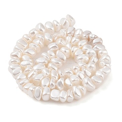 Electroplated Shell Pearl Beads Strands&nbsp;BSHE-C006-03B