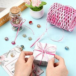 1 Roll Segment Dyed Raffia Paper Cords for DIY Craft&nbsp;OCOR-CJ0004-12