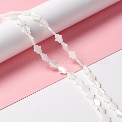 Natural Trochid Shell/Trochus Shell Beads&nbsp;SSHEL-O001-23A