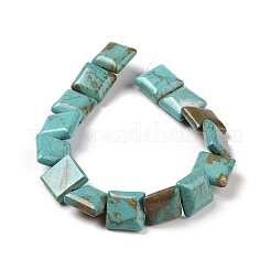 Natural Magnesite Beads Strands&nbsp;TURQ-K003-06A
