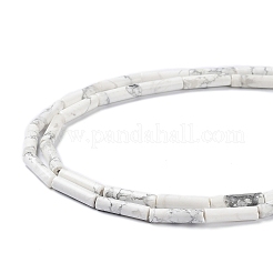 Natural Howlite Beads Strands&nbsp;G-K337-04