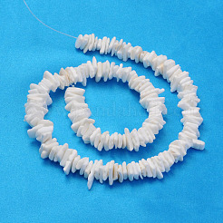 Natural Sea Shell Chips Beads Strands&nbsp;X-BSHE-Q024-02